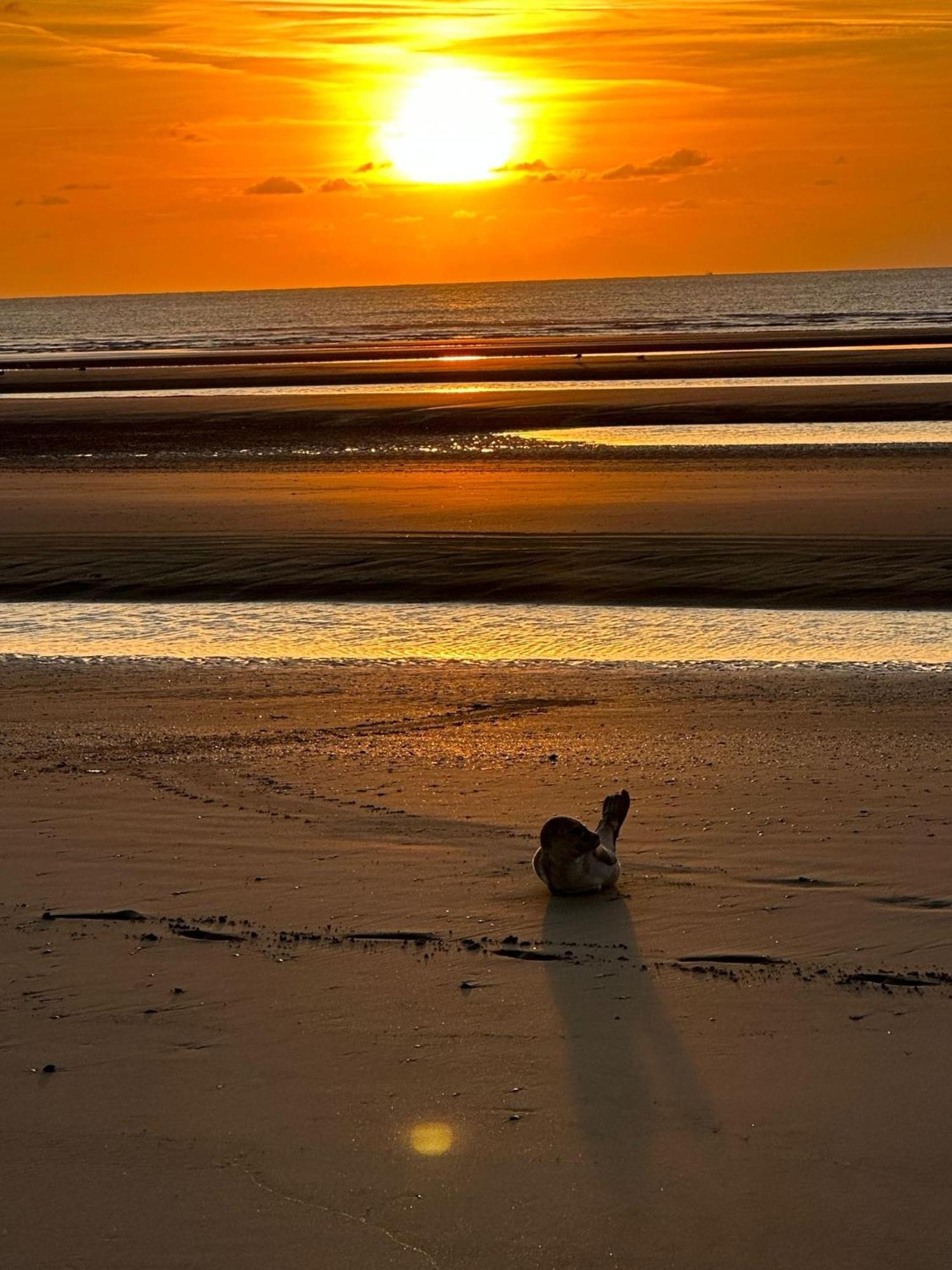 Penthouse Vakantielust Blankenberge Buitenkant foto